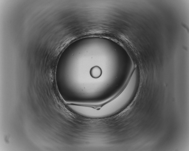 X0000101971353200807251201