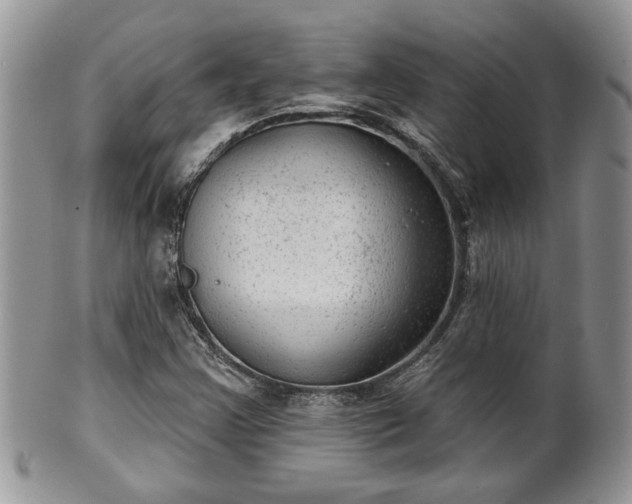 X0000101971355200807251201