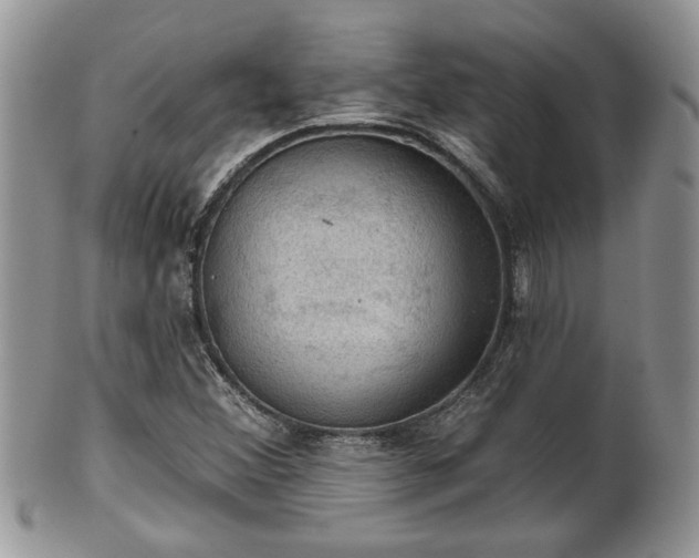 X0000101971356200807251201