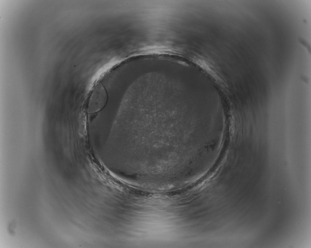 X0000101971358200807251201