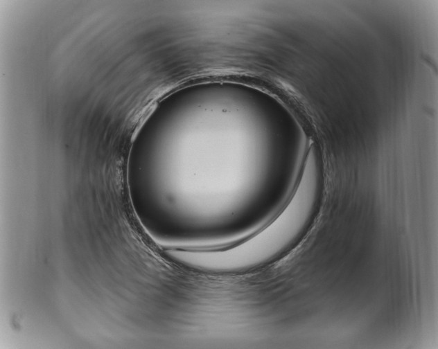 X0000101971361200807251201