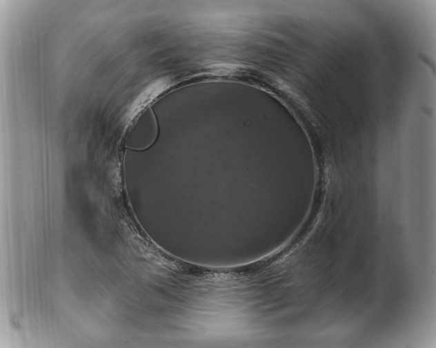 X0000101971362200807251201