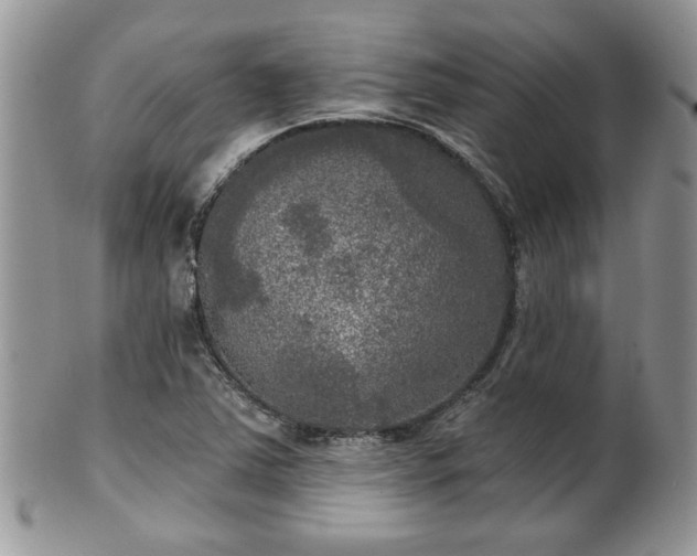 X0000101971363200807251201