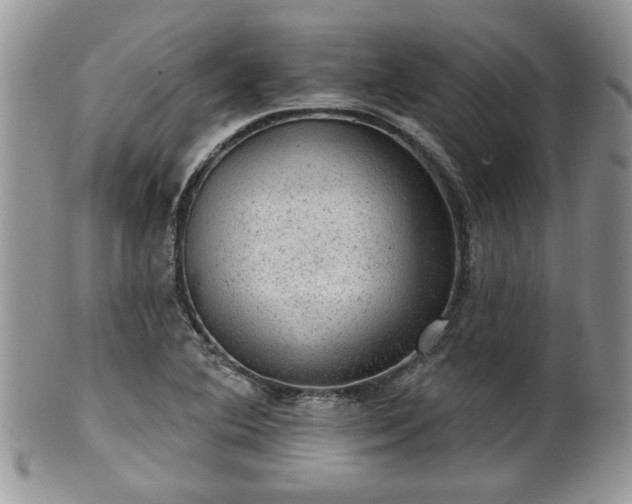 X0000101971364200807251201