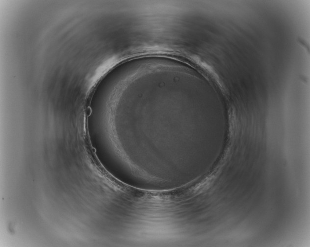 X0000101971365200807251201