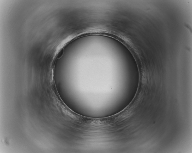 X0000101971366200807251201