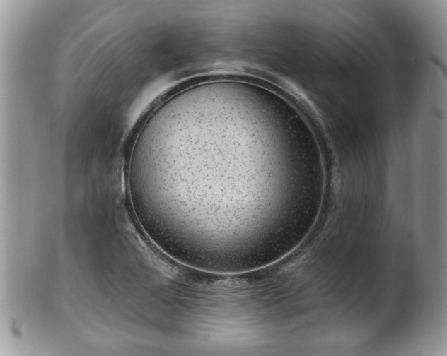 X0000101971368200807251201