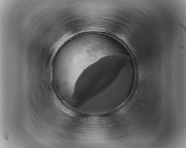 X0000101971371200807251201