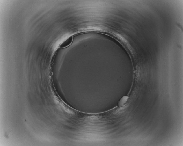 X0000101971373200807251201