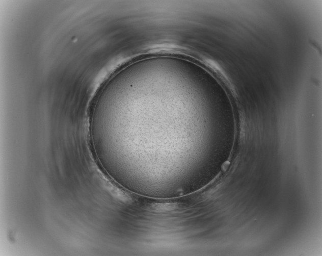 X0000101971376200807251201