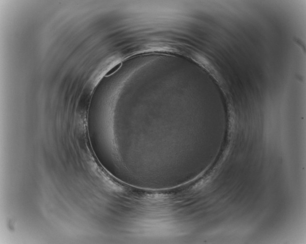 X0000101971377200807251201