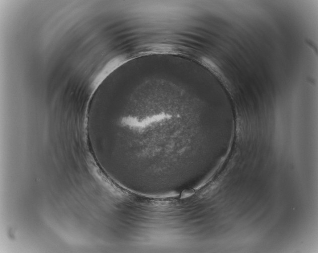 X0000101971378200807251201