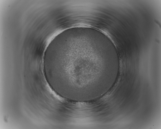 X0000101971379200807251201