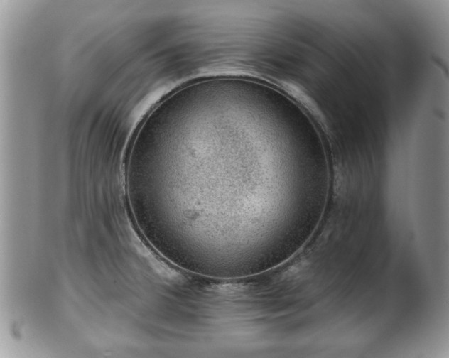X0000101971380200807251201