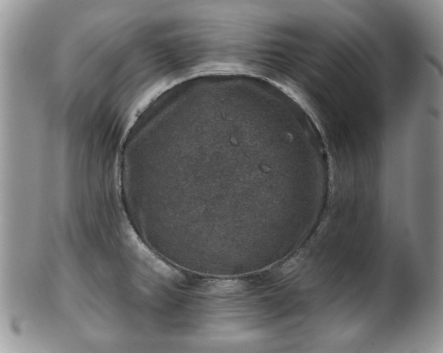 X0000101971382200807251201