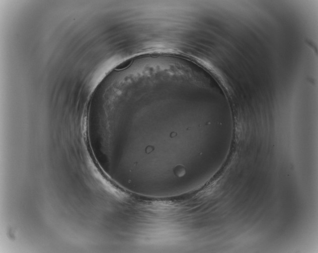 X0000101971383200807251201