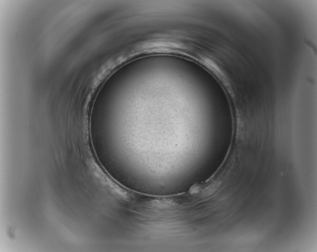 X0000101971384200807251201