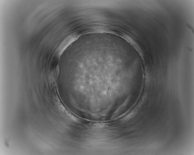 X0000101971385200807251201