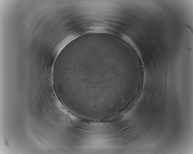 X0000101971386200807251201