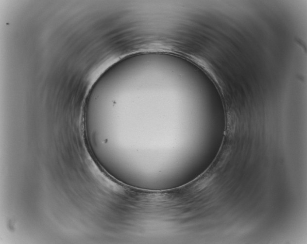 X0000101971387200807251201
