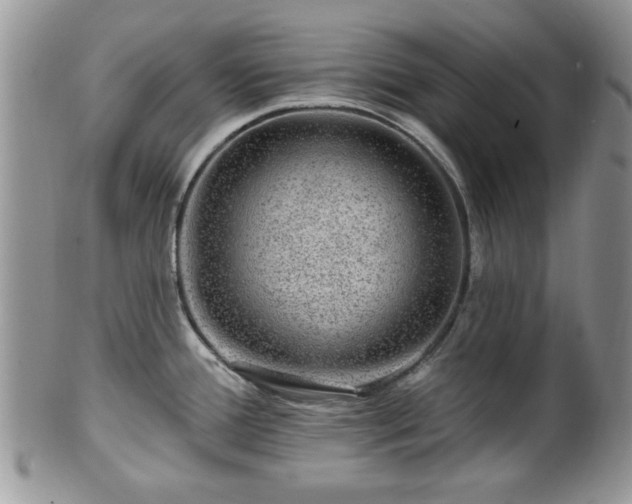 X0000101971388200807251201
