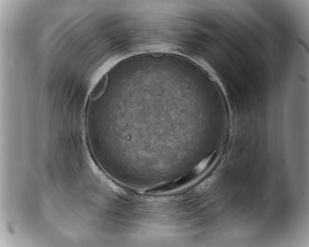 X0000101971389200807251201
