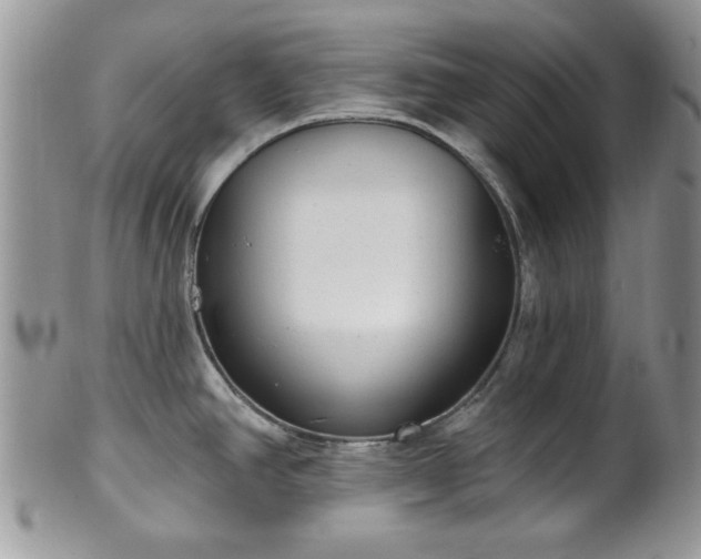 X0000101971390200807251201