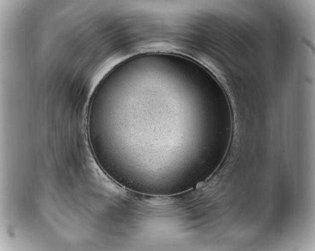 X0000101971392200807251201