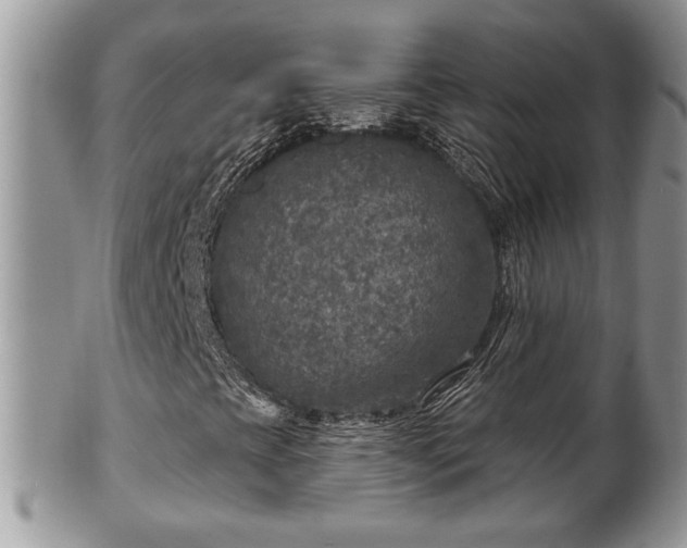 X0000101971393200807251200
