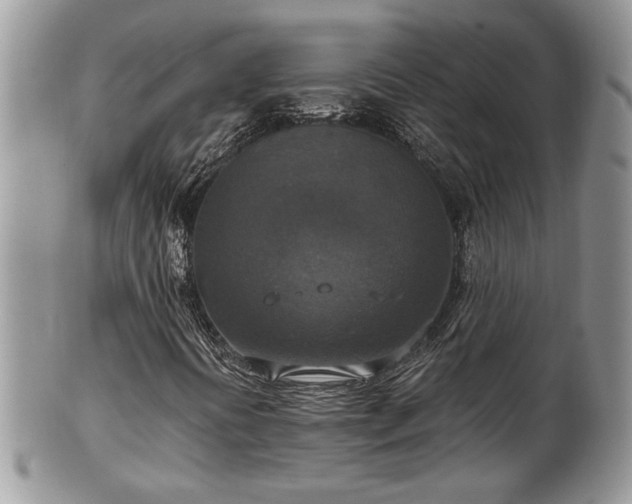 X0000101971394200807251200