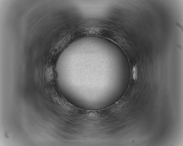 X0000101971395200807251200