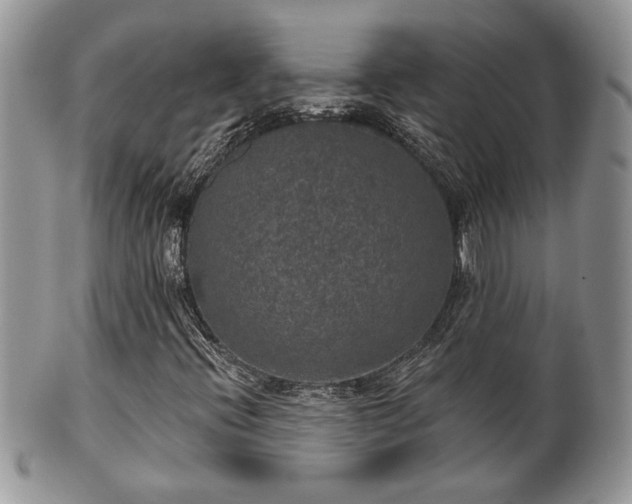 X0000101971396200807251200