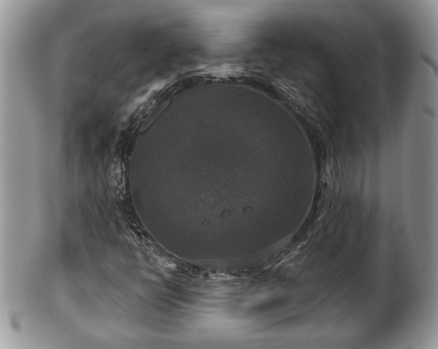 X0000101971398200807251200