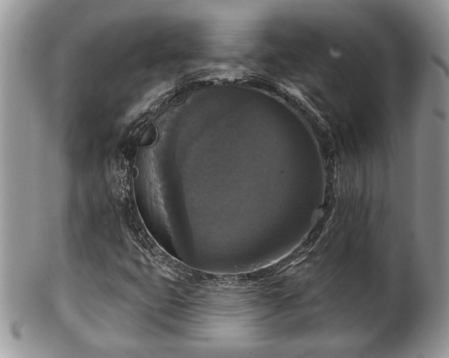 X0000101971399200807251200