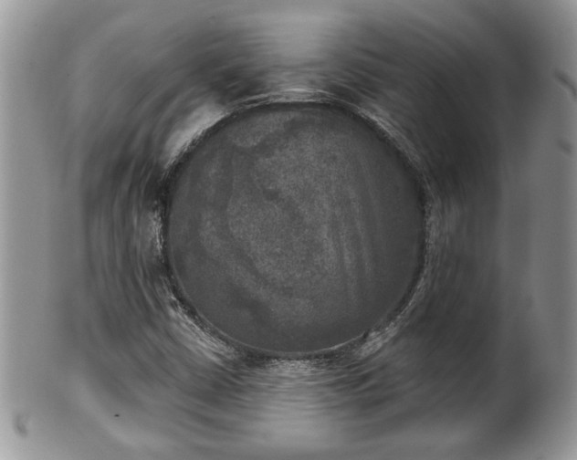 X0000101971402200807251200