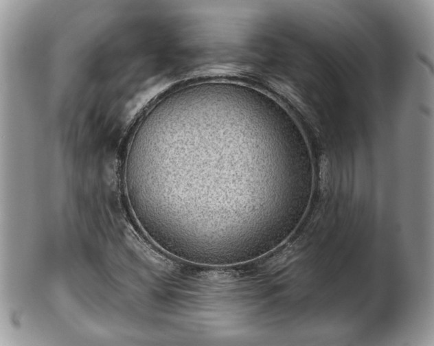 X0000101971404200807251200