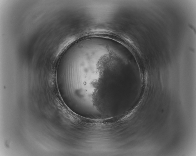 X0000101971405200807251200