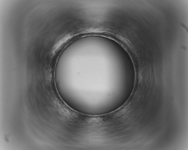 X0000101971406200807251200