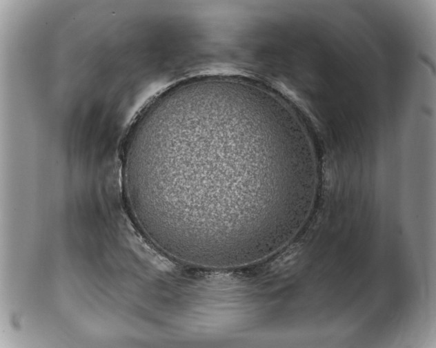 X0000101971408200807251200