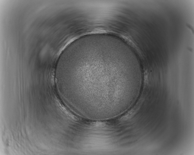 X0000101971409200807251200