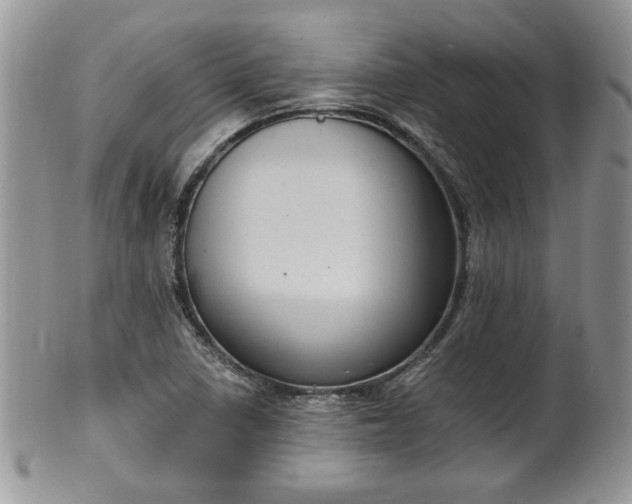 X0000101971410200807251200