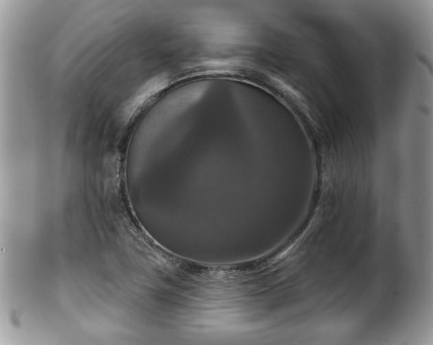 X0000101971411200807251200