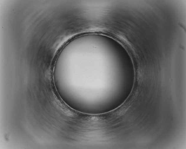 X0000101971412200807251200