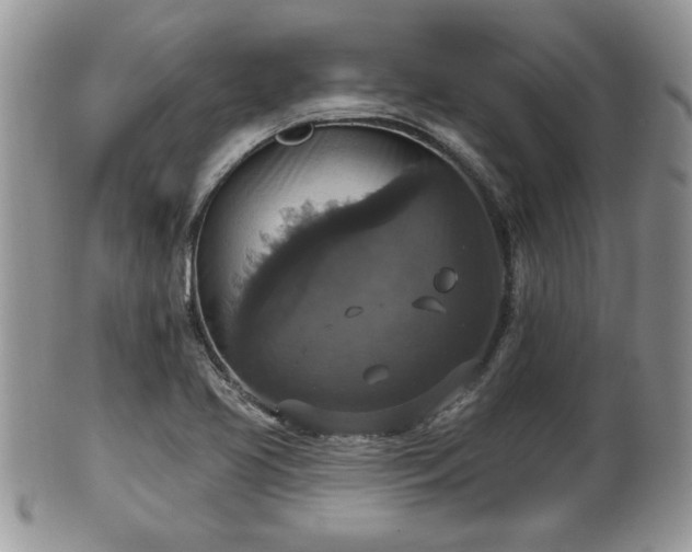 X0000101971413200807251200