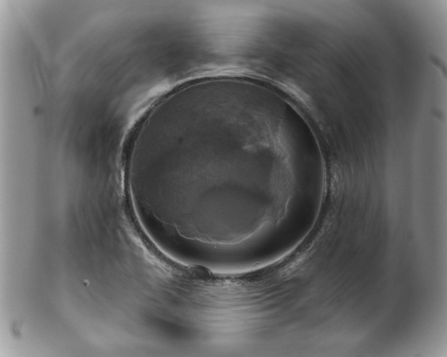 X0000101971414200807251200