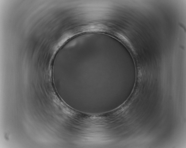 X0000101971419200807251200