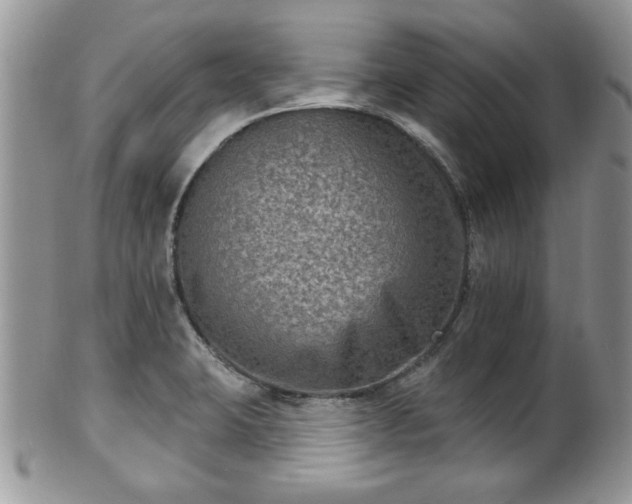 X0000101971423200807251200