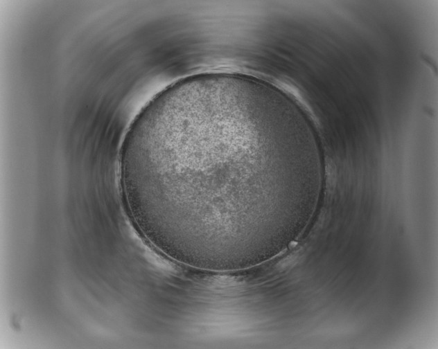 X0000101971424200807251201