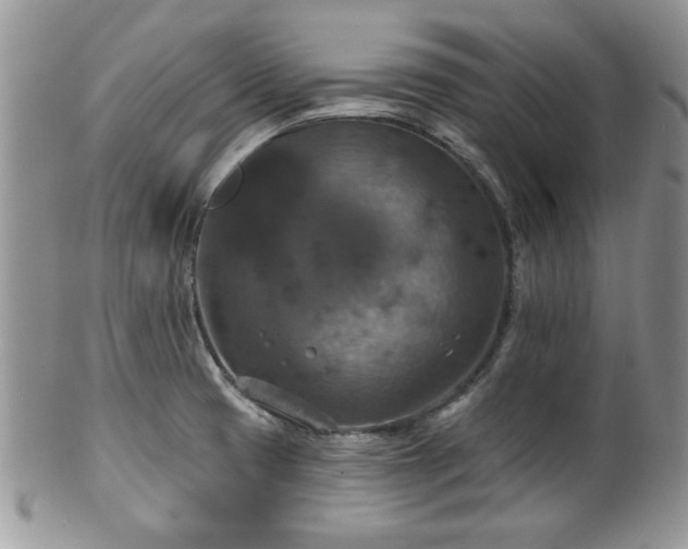 X0000101971425200807251201