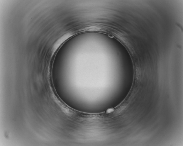 X0000101971426200807251201